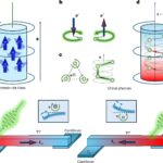 Les scientifiques atteignent la première observation du moment angulaire phonon dans les cristaux chiraux