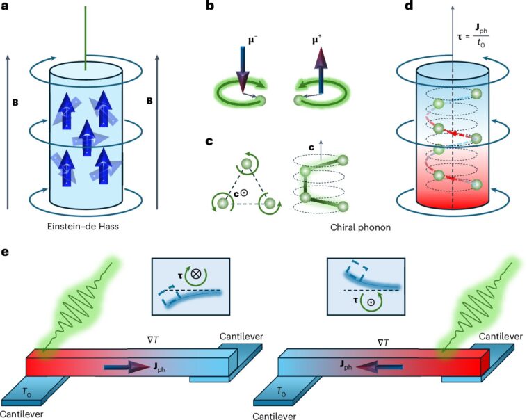Les scientifiques atteignent la première observation du moment angulaire phonon dans les cristaux chiraux Les scientifiques atteignent la première observation du moment angulaire phonon dans les cristaux chiraux
