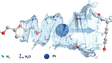 Les scientifiques décodent le rôle clé de l'eau dans la conversion de la biomasse catalysée par le platine