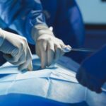 Les scientifiques effectuent la première greffe pulmonaire de cochon à humain