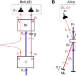 Les scientifiques produisent des résultats de type enchevêtrement quantiques sans particules enchevêtrées dans une nouvelle expérience Les scientifiques produisent des résultats de type enchevêtrement quantiques sans particules enchevêtrées dans une nouvelle expérience