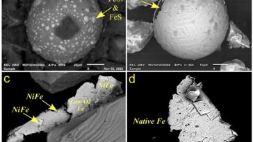 Les sédiments de l'océan pourraient soutenir la théorie selon laquelle COMET IMPACT a déclenché des sèches plus jeunes refroidisses