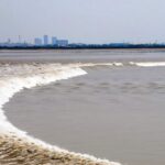 Les simulations numériques caractérisent les «marées matricielles» et d'autres modèles d'ondes complexes observés dans la rivière Qiantang Les simulations numériques caractérisent les «marées matricielles» et d'autres modèles d'ondes complexes observés dans la rivière Qiantang