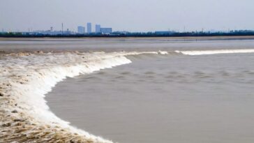 Les simulations numériques caractérisent les «marées matricielles» et d'autres modèles d'ondes complexes observés dans la rivière Qiantang