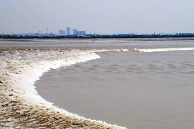 Les simulations numériques caractérisent les «marées matricielles» et d'autres modèles d'ondes complexes observés dans la rivière Qiantang