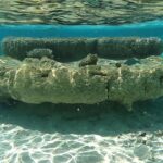 Les squelettes coralliens montrent que l'élévation du niveau de la mer a commencé à accélérer plus tôt qu'auparavant