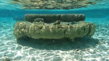 Les squelettes coralliens montrent que l'élévation du niveau de la mer a commencé à accélérer plus tôt qu'auparavant