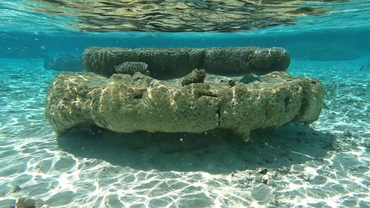 Les squelettes coralliens montrent que l'élévation du niveau de la mer a commencé à accélérer plus tôt qu'auparavant