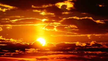 Lutter contre la chaleur: l'Europe prend des mesures pour protéger la santé dans un monde réchauffant