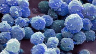 Nous déverrouillons comment les microbes gelés restent en vie pendant 100 000 ans