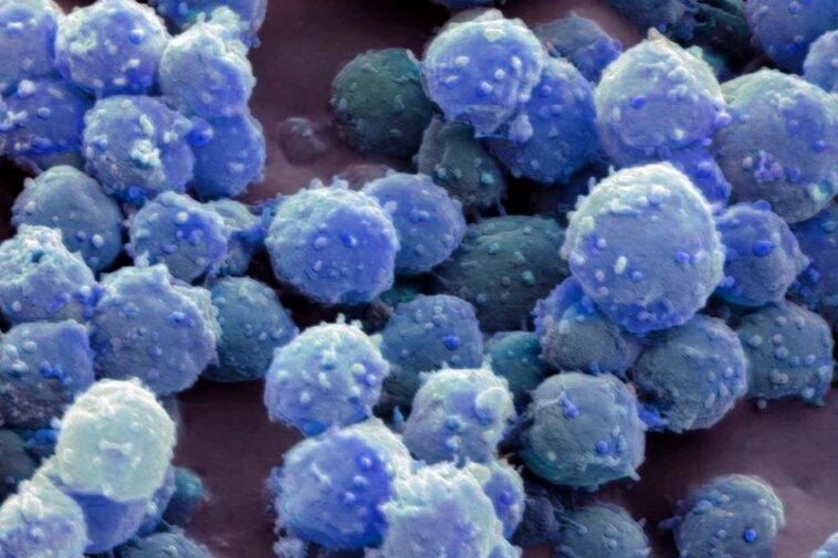 Nous déverrouillons comment les microbes gelés restent en vie pendant 100 000 ans