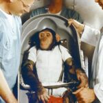 Nous envoyons des animaux dans l'espace depuis 7 décennies - mais il n'y a toujours pas de règles pour les protéger du mal