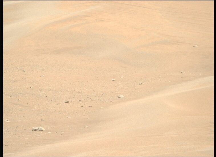 Pour voir le monde dans un grain de sable: enquêter sur les mégaripples à Kerrlaguna sur Mars