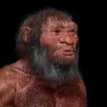 Pourquoi un mystérieux groupe d'humains anciens n'a pas de nom d'espèce