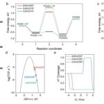 Produisant des précurseurs de carburant d'aviation durable avec la réaction de réduction de furfural Produisant des précurseurs de carburant d'aviation durable avec la réaction de réduction de furfural