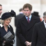 Qu'est-ce que le prince Harry et le prince William ont vraiment fait au mariage du roi Charles et de la reine Camilla?