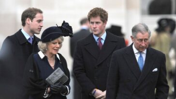 Qu'est-ce que le prince Harry et le prince William ont vraiment fait au mariage du roi Charles et de la reine Camilla?