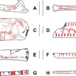 Recherche de systèmes de mémoire artificielle chez les humains anciens avec des statistiques spatiales