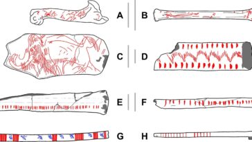 Recherche de systèmes de mémoire artificielle chez les humains anciens avec des statistiques spatiales
