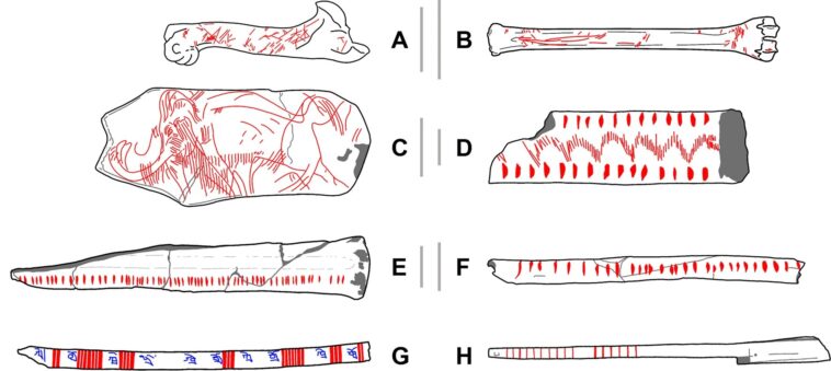 Recherche de systèmes de mémoire artificielle chez les humains anciens avec des statistiques spatiales