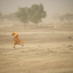 Revoir les systèmes alimentaires mondiaux pour éviter l'aggravation de la crise foncière, les scientifiques exhortent