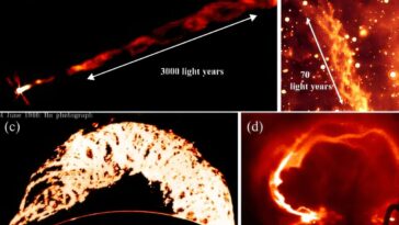 Ropes de flux magnétique tressé trouvés à la fois aux échelles de l'année humaine et légère