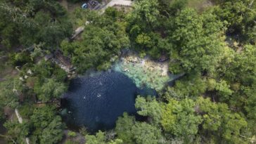 Springs autrefois impatients de Floride menacés par la pollution, le développement et le changement climatique