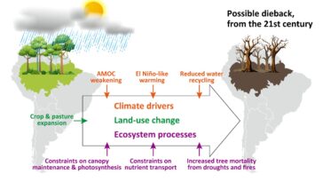 Terre System Models Project Start of Amazon Dieback dans le 21e siècle