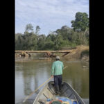 Tribu Amazon isolé vue près du site du pont de la journalisation, groupe de droits alarmant