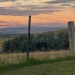 Triple Whammy: Comment 3 types de sécheresse sont paralysés du sud de l'Australie cette année