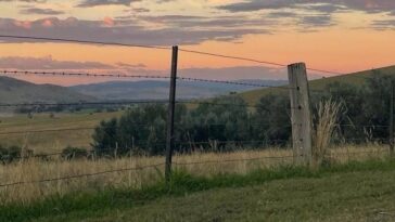 Triple Whammy: Comment 3 types de sécheresse sont paralysés du sud de l'Australie cette année