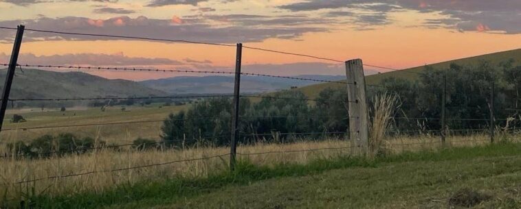 Triple Whammy: Comment 3 types de sécheresse sont paralysés du sud de l'Australie cette année