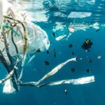 Trois raisons pour lesquelles les pourparlers du traité de pollution plastique se sont terminés par un désaccord et une impasse (mais pas l'effondrement) Trois raisons pour lesquelles les pourparlers du traité de pollution plastique se sont terminés par un désaccord et une impasse (mais pas l'effondrement)