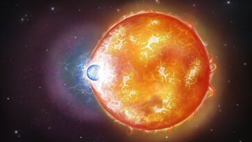 Ultraviolet Light découvre les preuves de la fusion d'étoiles naines blanches rares