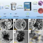 Un nouveau catalyseur en cuivre / cobalt améliore l'efficacité de la réduction électrochimique du nitrate