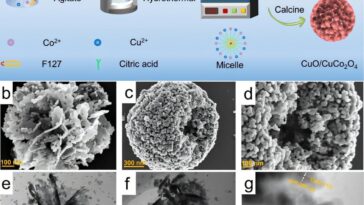 Un nouveau catalyseur en cuivre / cobalt améliore l'efficacité de la réduction électrochimique du nitrate