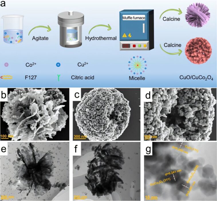 Un nouveau catalyseur en cuivre / cobalt améliore l'efficacité de la réduction électrochimique du nitrate Un nouveau catalyseur en cuivre / cobalt améliore l'efficacité de la réduction électrochimique du nitrate