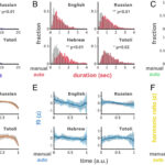 Un rythme universel guide la façon dont nous parlons: l'analyse globale révèle des «unités d'intonation» de 1,6 seconde