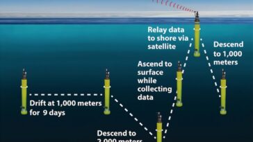 Une nouvelle approche d'IA affine une image de l'exportation du carbone dans l'océan austral