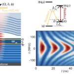 Une nouvelle approche supprime le bruit magnétique pour le contrôle optique rapide d'un rotation de trou cohérent dans une microcavité