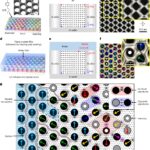 Une nouvelle méthode améliore les cristaux liquides avec un meilleur rappel