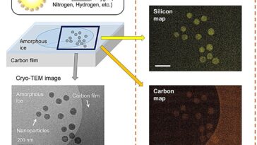 Une nouvelle méthode d'imagerie cool montre les distributions élémentaires des nanomatériaux dans les solvants gelés