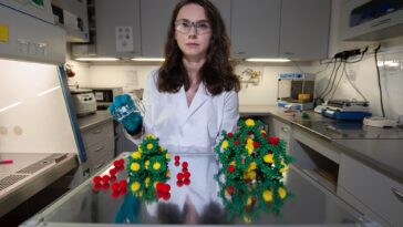 Une nouvelle méthode permet l'auto-assemblage de cristaux robustes et poreux doux avec des propriétés de sorption de gaz uniques