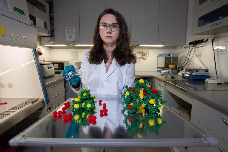 Une nouvelle méthode permet l'auto-assemblage de cristaux robustes et poreux doux avec des propriétés de sorption de gaz uniques