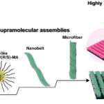 Une nouvelle stratégie de co-assemblage débloque robuste en luminescence polarisée circulaire sur le spectre de couleurs