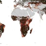 Voir les saisons de la Terre dans toute leur complexité dans une nouvelle carte animée