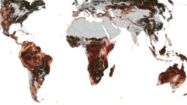 Voir les saisons de la Terre dans toute leur complexité dans une nouvelle carte animée