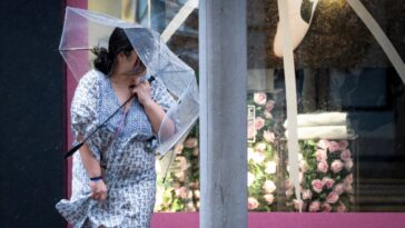 14 tués par le lac Burst à Taiwan alors que le super typhon Ragasa fait des ravages