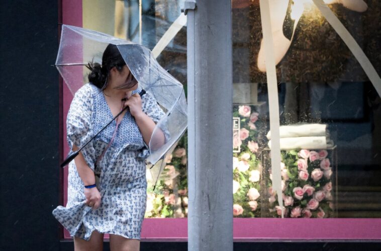 14 tués par le lac Burst à Taiwan alors que le super typhon Ragasa fait des ravages 14 tués par le lac Burst à Taiwan alors que le super typhon Ragasa fait des ravages