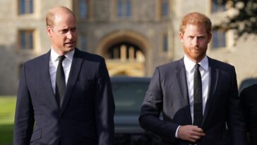 La relation du prince Harry et du prince William est à un «plus bas de tous les temps», dit Source